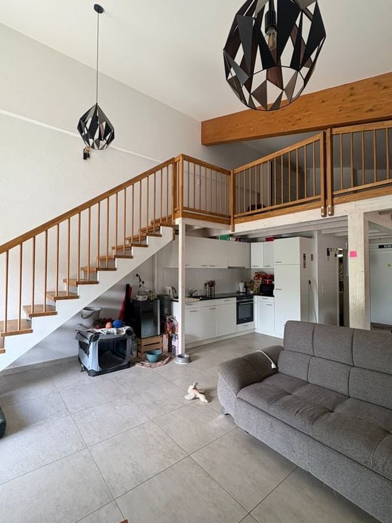 Magnifique loft lumineux de 96 m2, à la campagne (3)