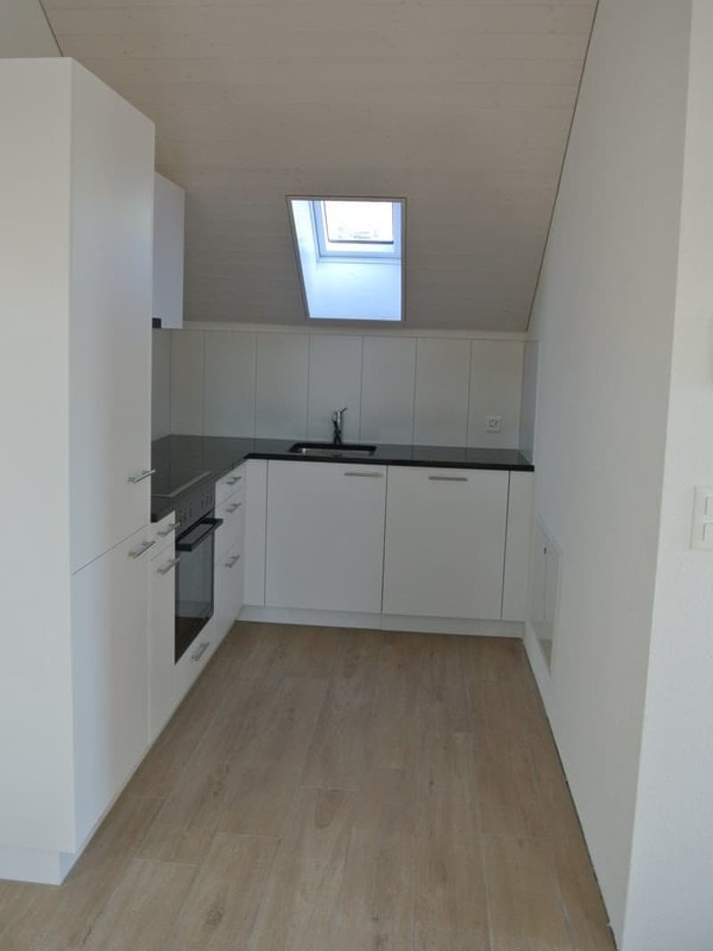 Magnifique appartement 2,5 pièces au 2ème étage combles (2)