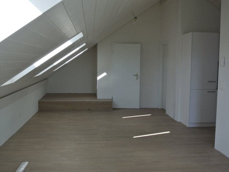Magnifique appartement 2,5 pièces au 2ème étage combles (1)