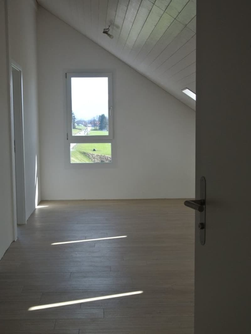 Magnifique appartement 2,5 pièces au 2ème étage combles (3)