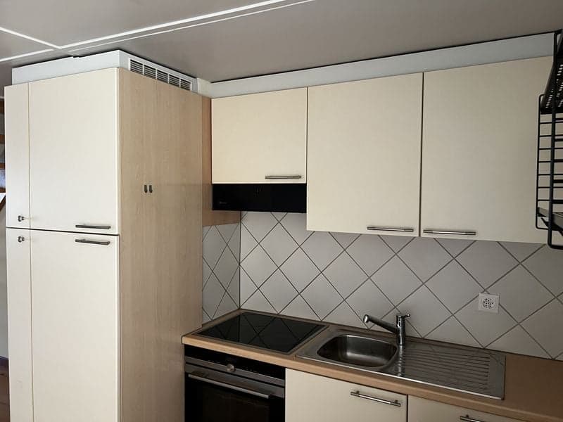 Appartement loft 2,5 pièces de 67 m2, au 3ème étage, avec grande terrasse (1)