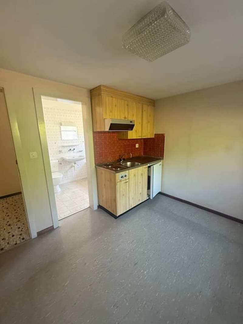 Maison individuelle de 5.5 pièces, location courte durée (1 année maximum) (10)