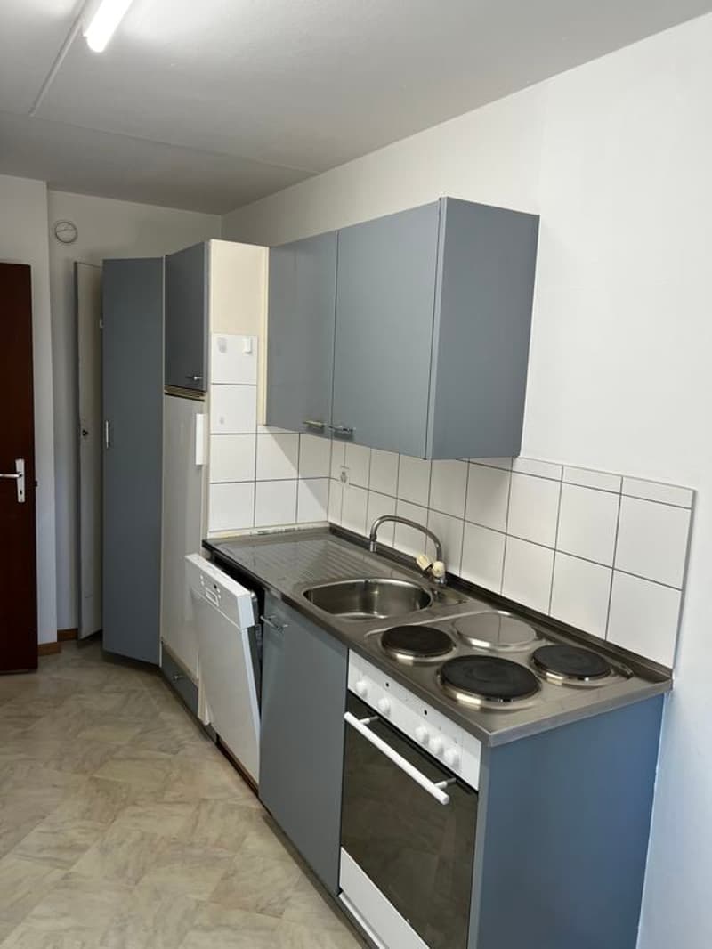 Appartements 3,5 pièces de 62 m2, rez supérieur avec grande terrasse (1)