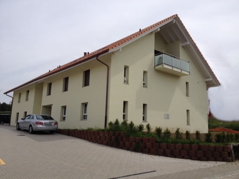 Grand appartement 2,5 pièces au rez-de-chaussée avec terrasse (5)