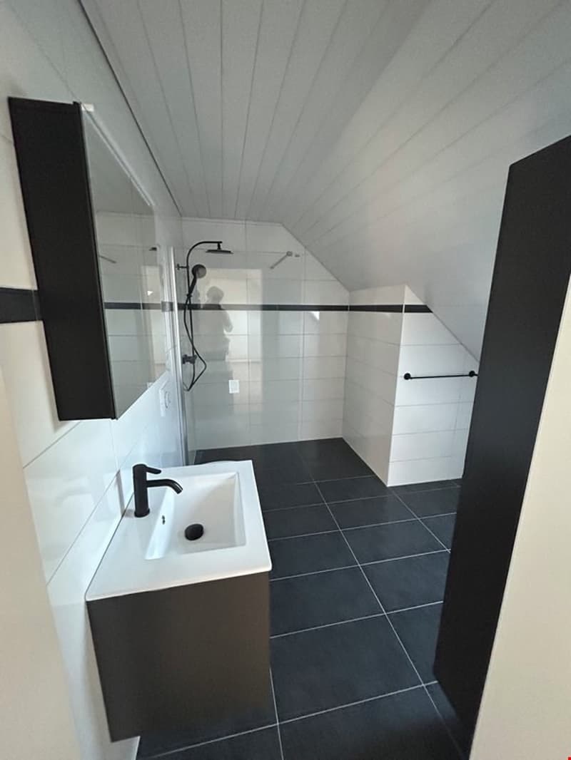 Très grand appartement de qualité 5,5 pièces en combles (6)