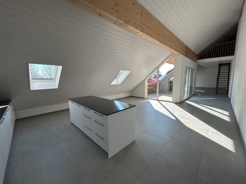 Très grand appartement de qualité 5,5 pièces en combles (2)