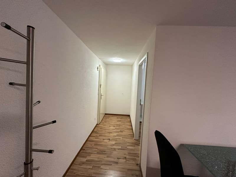 Appartement meublé de 2 pièces au rez-de-chaussée. (3)