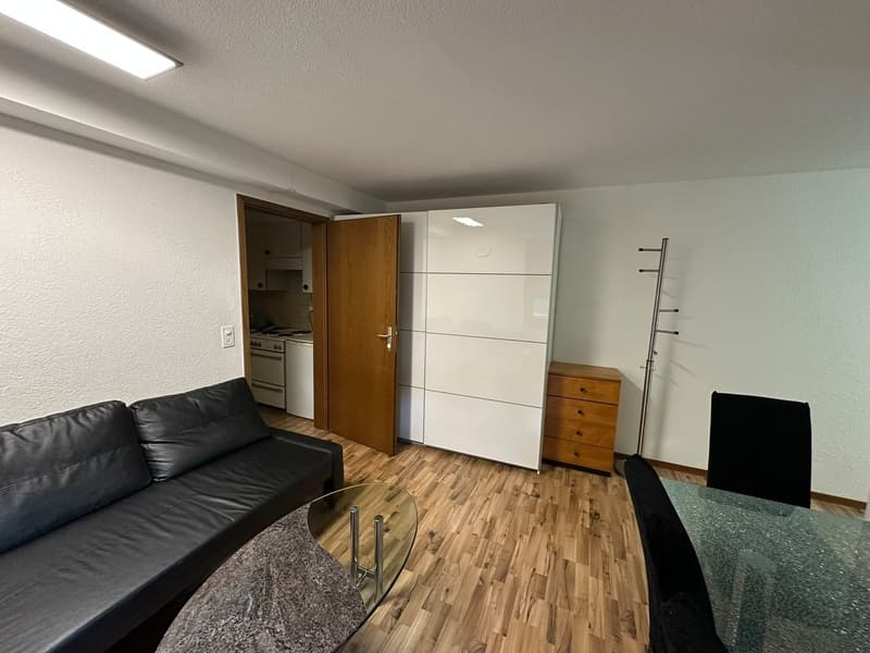 Appartement meublé de 2 pièces au rez-de-chaussée. (2)