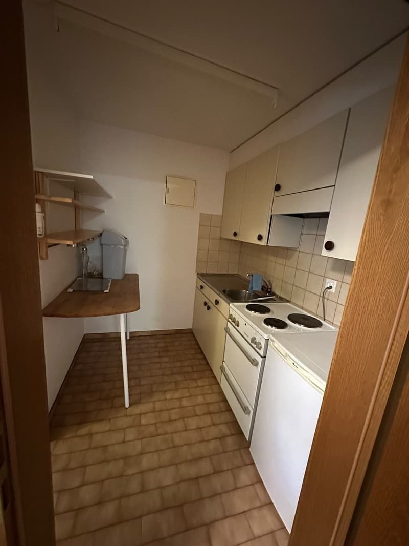 Appartement meublé de 2 pièces au rez-de-chaussée. (6)