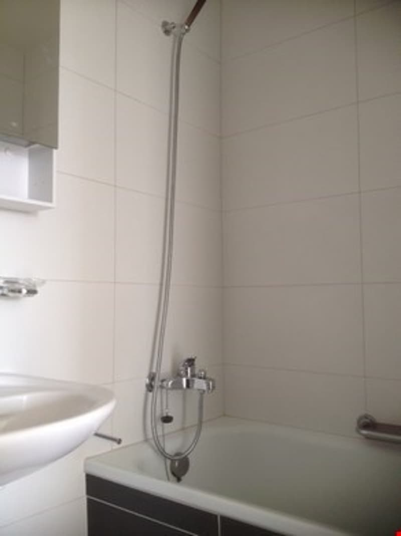 Joli appartement 4,5 pièces de 79 m2 au rez supérieur (9)
