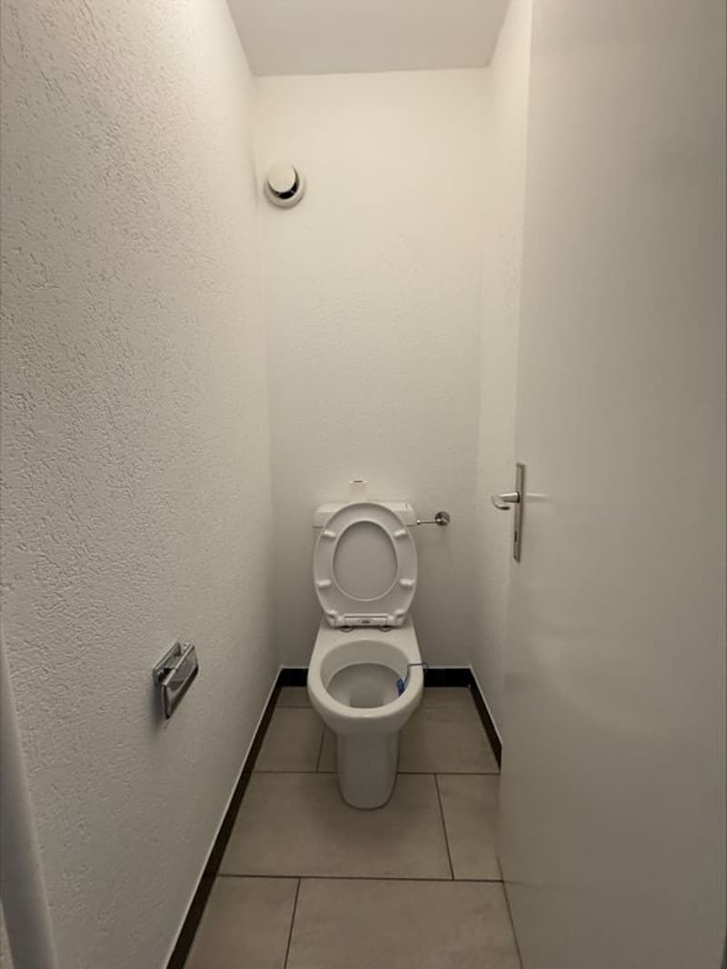 Appartement rénové de 4,5 pièces de 85m2 avec balcon, au 1er étage (11)