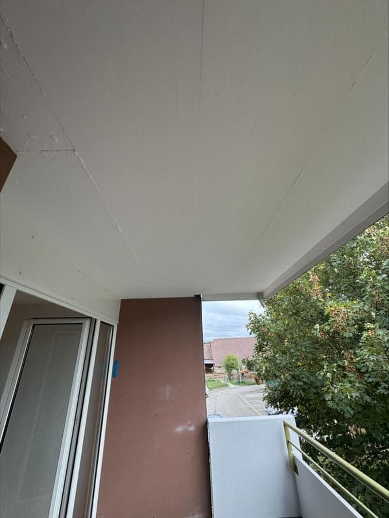 Appartement rénové de 4,5 pièces de 85m2 avec balcon, au 1er étage (2)