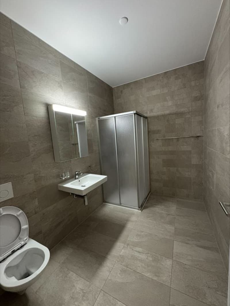 Spacieux duplex de 5.5 pièces (145 m2) (11)