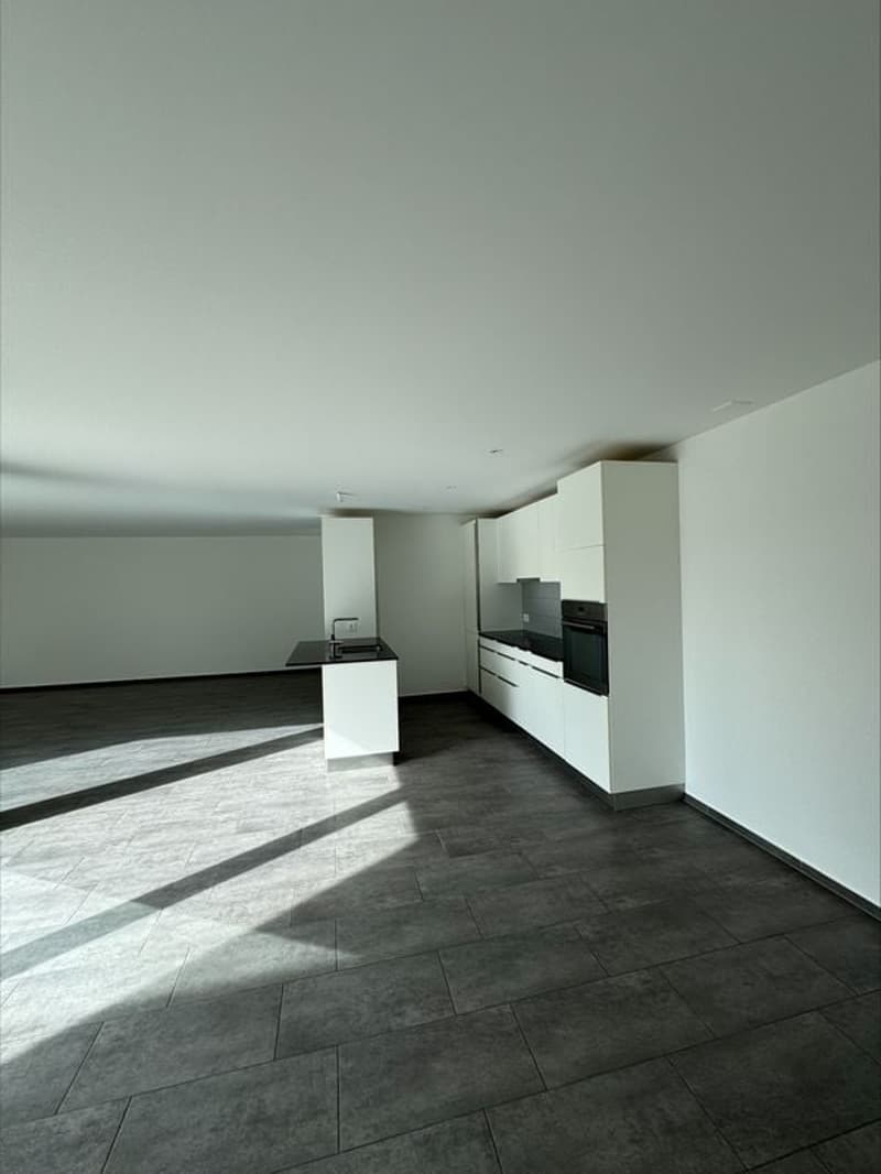 Spacieux duplex de 5.5 pièces (145 m2) (3)