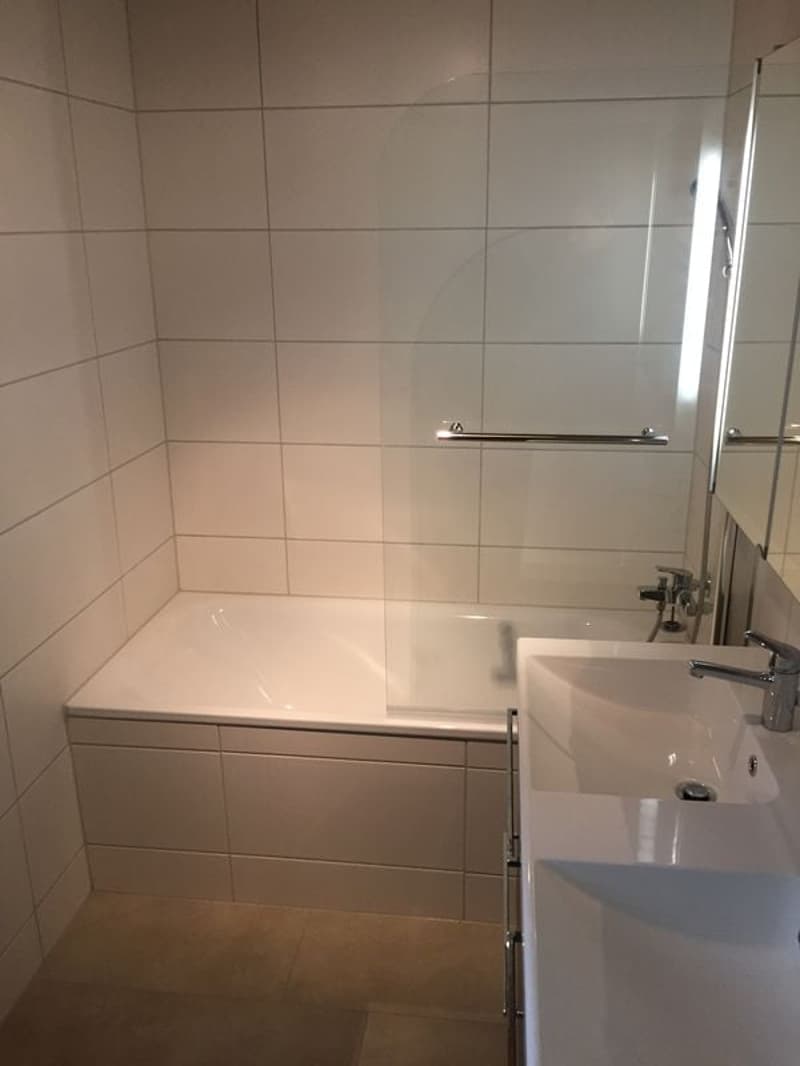 Bel appartement de 3.5 pièces avec cachet, sur 3 niveaux (5)