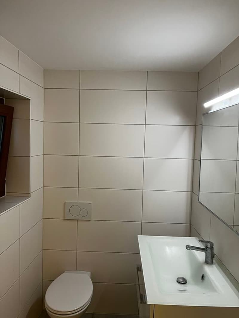 Bel appartement de 3.5 pièces avec cachet, sur 3 niveaux (6)