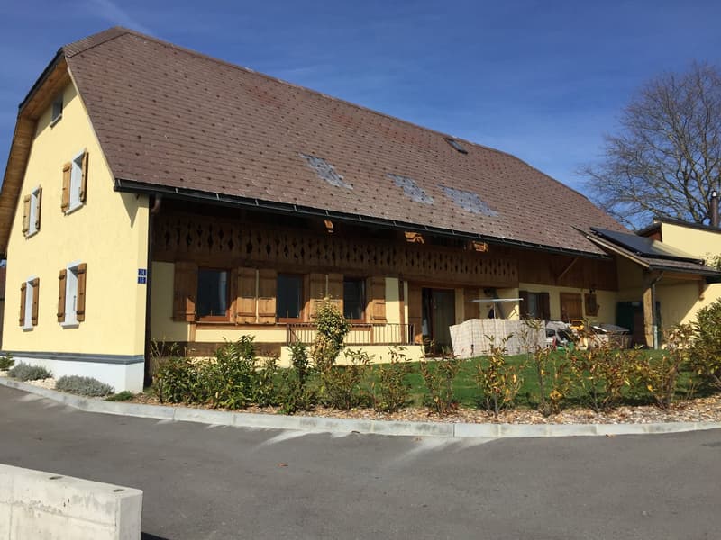 Bel appartement de 3.5 pièces avec cachet, sur 3 niveaux (11)