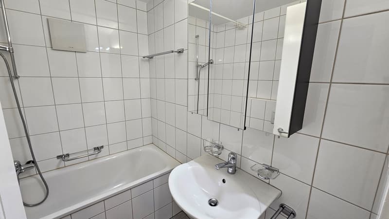 0450.102301 - Salle de bains/WC
