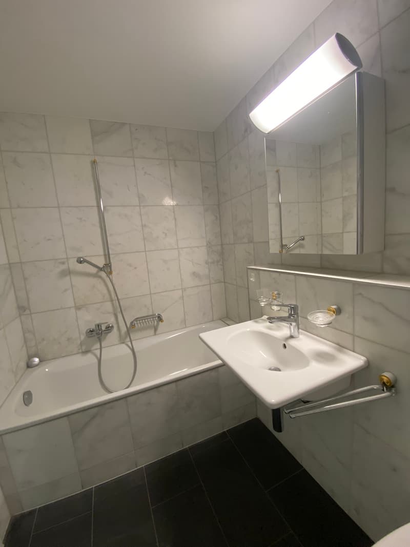 4066.000007 - Salle de bains/WC