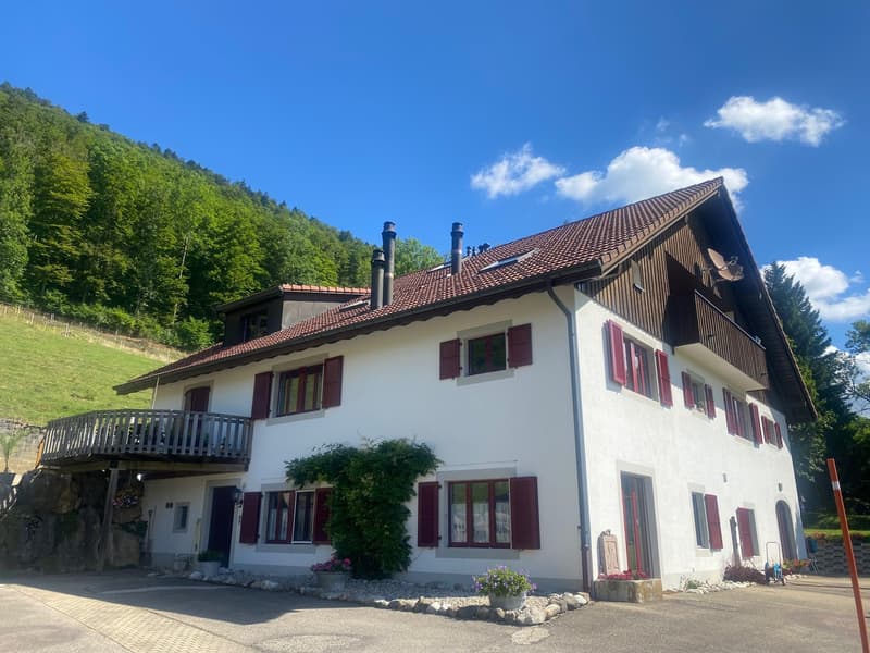 Appartement lumineux de 3,5 pièces au 1er étage (9)