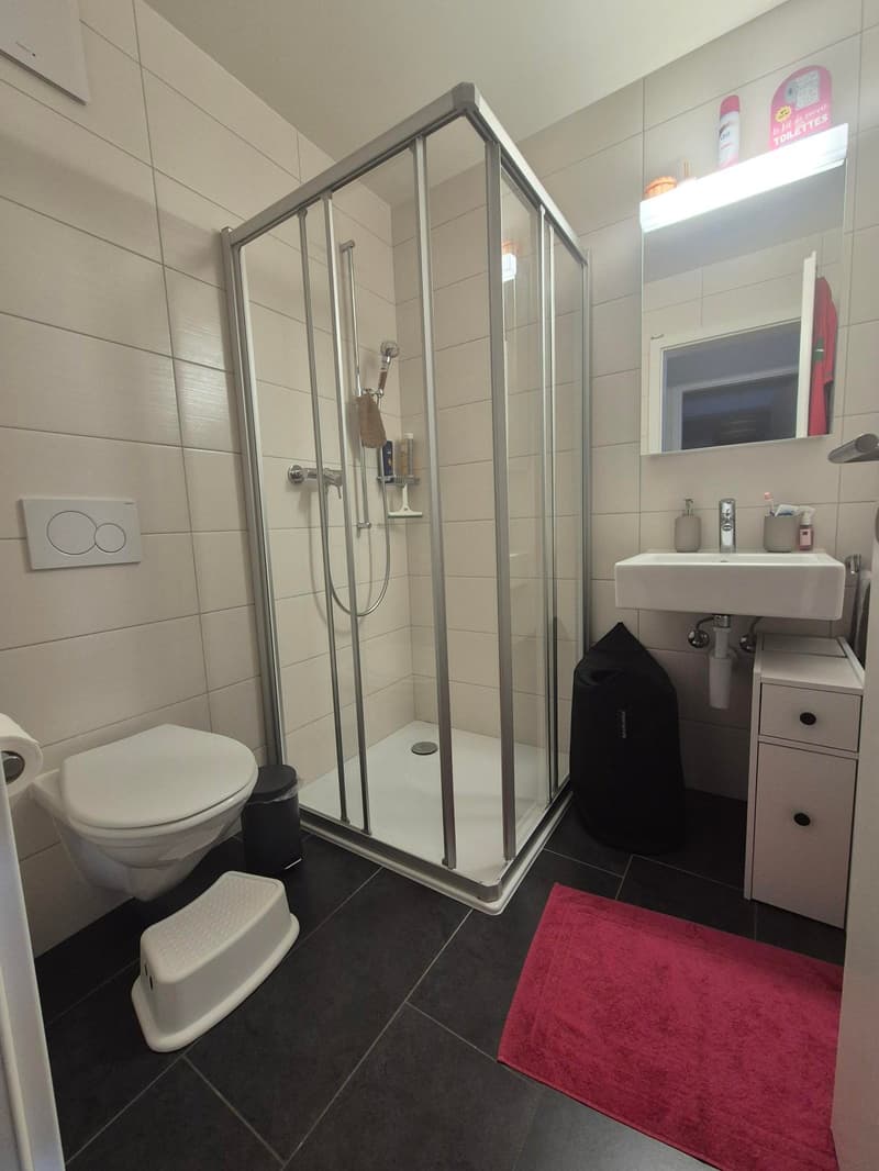 Appartement en attique de 4.5 pièces à Cortaillod (12)