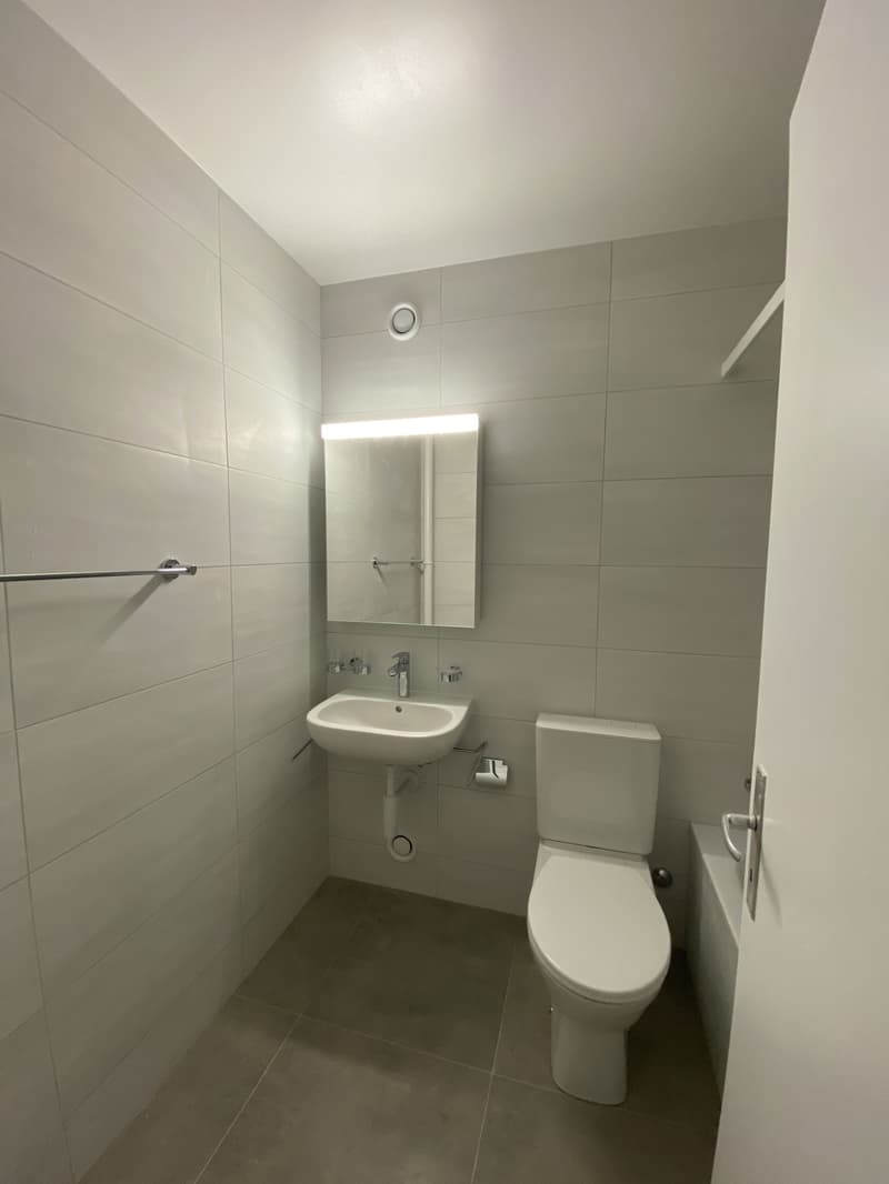 1300.000325 - Salle de bains/WC