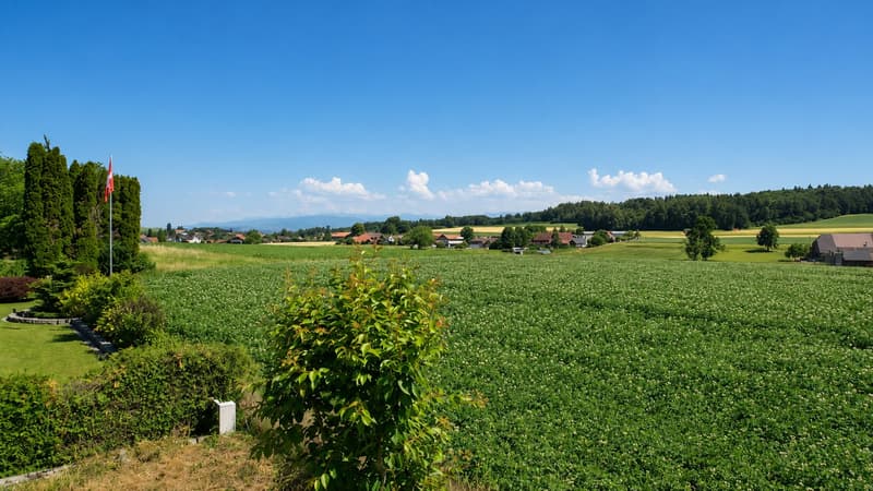 Charmantes Einfamilienhaus in Guschelmuth – Wohnen mit Weitblick und Ruhe (6)