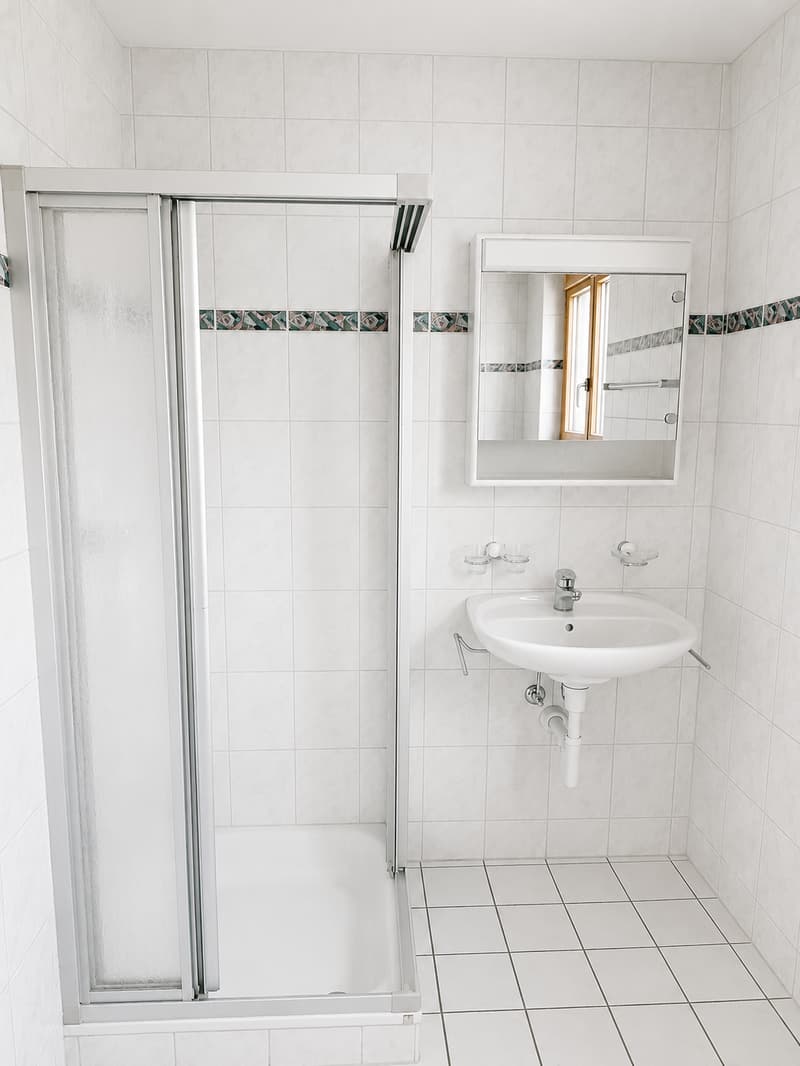 Attraktives Haus mit Einliegerwohnung (5)