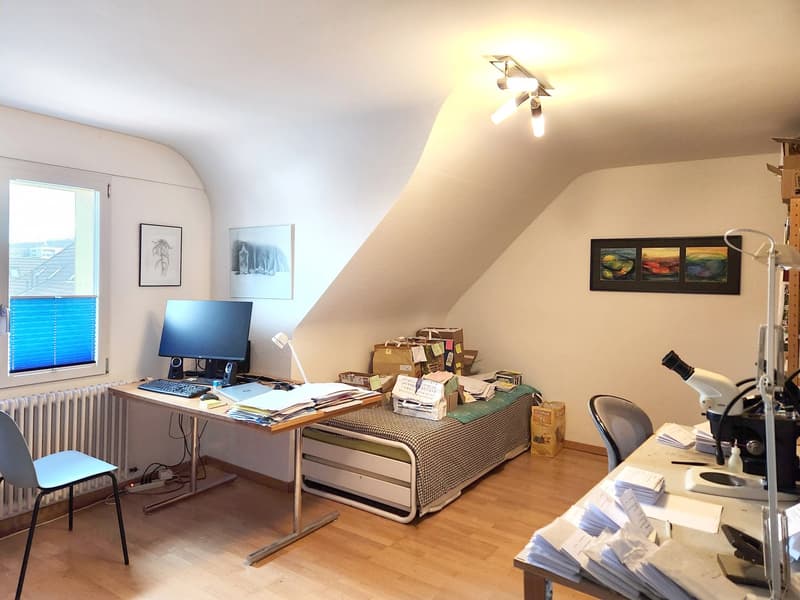Desk, computer, chair, bed, radiator, framed pictures, microscope, storage boxes, books, papers