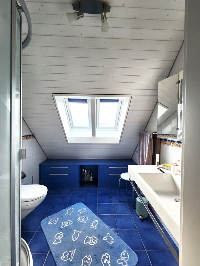 blue tiles, white toilet, blue cabinets, white sink, mirror, skylights, blue rug
