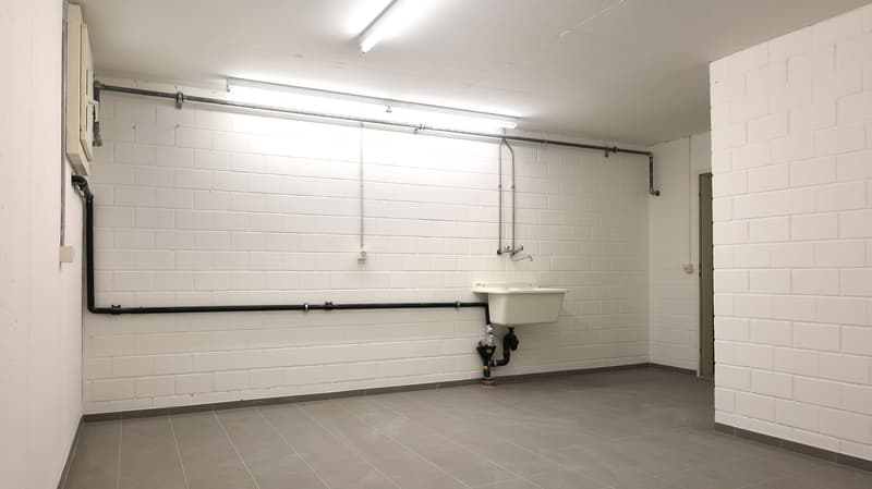 Attraktive 4.5-Zimmer-Gartenwohnung mit Wintergarten und Cheminée in Oberwil BL (19)