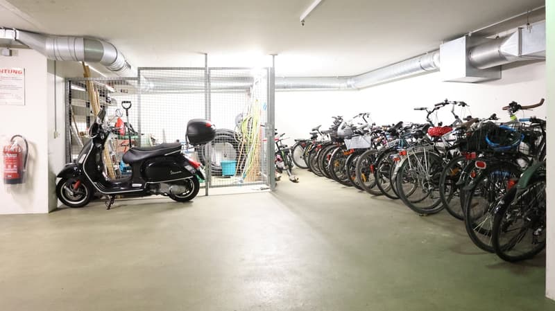 Attraktive 4.5-Zimmer-Gartenwohnung mit Wintergarten und Cheminée in Oberwil BL (18)