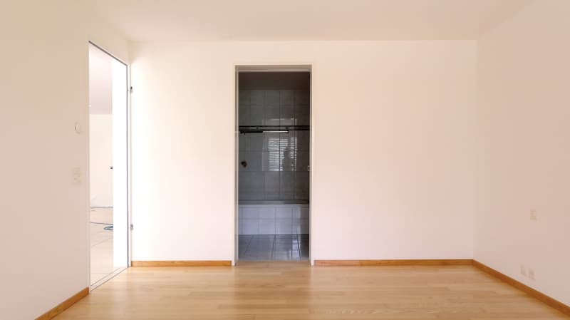 Attraktive 4.5-Zimmer-Gartenwohnung mit Wintergarten und Cheminée in Oberwil BL (12)