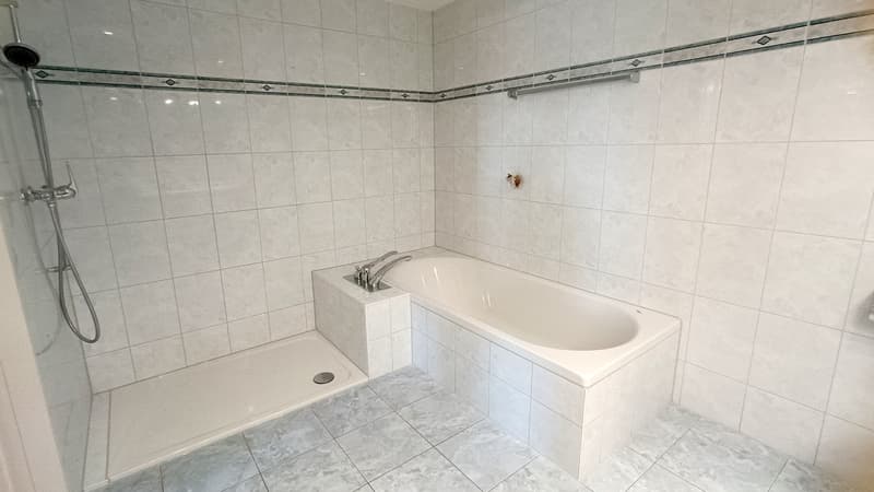 Attraktive 4.5-Zimmer-Gartenwohnung mit Wintergarten und Cheminée in Oberwil BL (14)