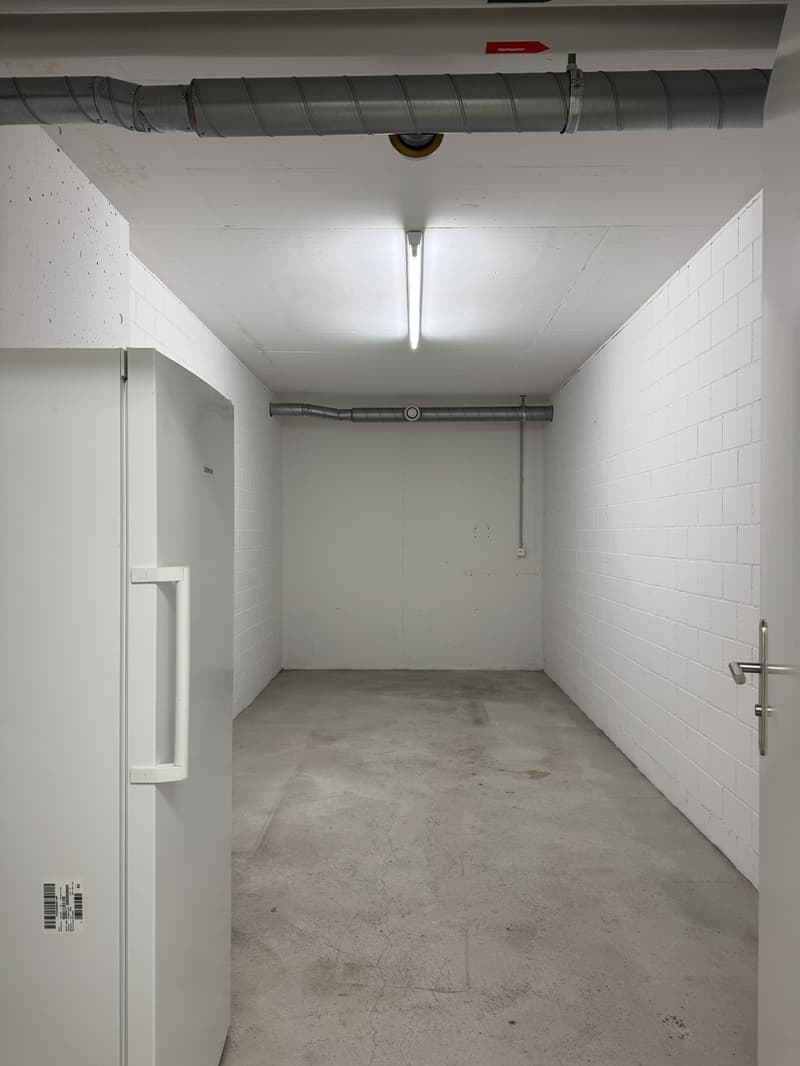 Moderen, sonnige 4.5 Zimmerwohnung mit Balkon, Autoeinstellhallenplatz und grossem Kellerabteil (22)