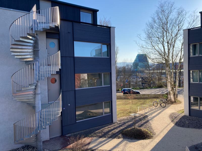 Gartenwohnung in Birsfelden - modern - neuwertig (2)