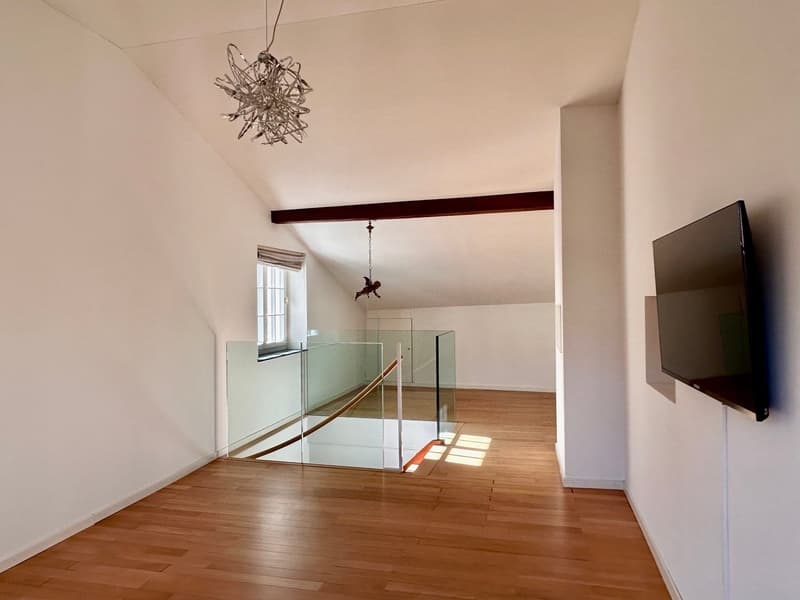 "Ein Bijou von Wohn- & Geschäftshaus im Herzen von Basel" (25)