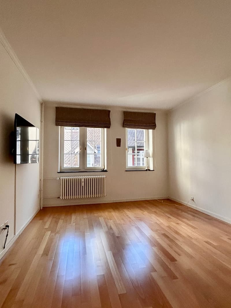 "Ein Bijou von Wohn- & Geschäftshaus im Herzen von Basel" (29)