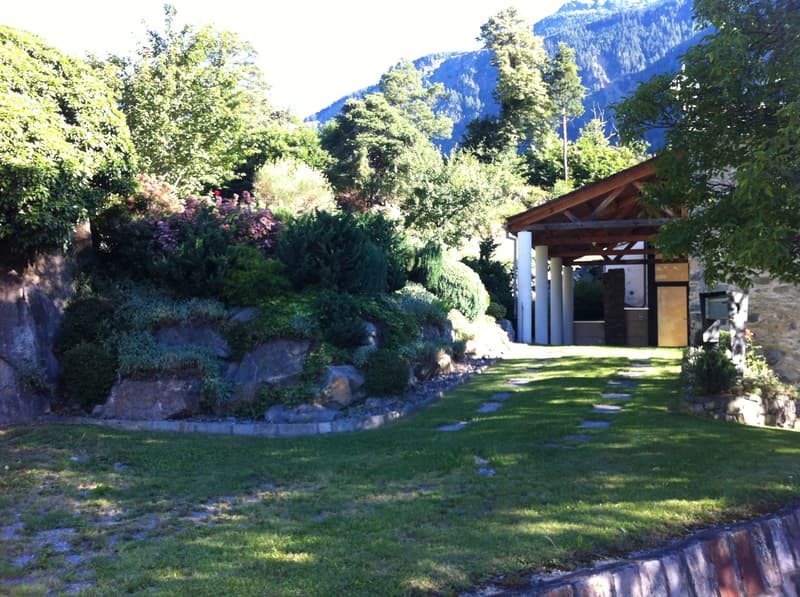 well-maintained garden with various plants, shrubs, and trees, stone pathway, stone wall, and a wooden pergola
