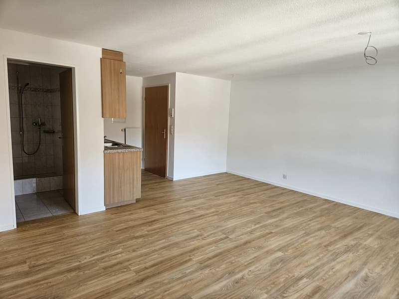 2.5 Zimmerwohnung (4)