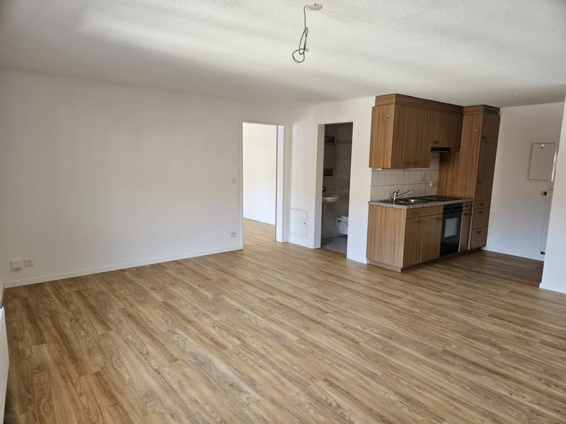 2.5 Zimmerwohnung (2)