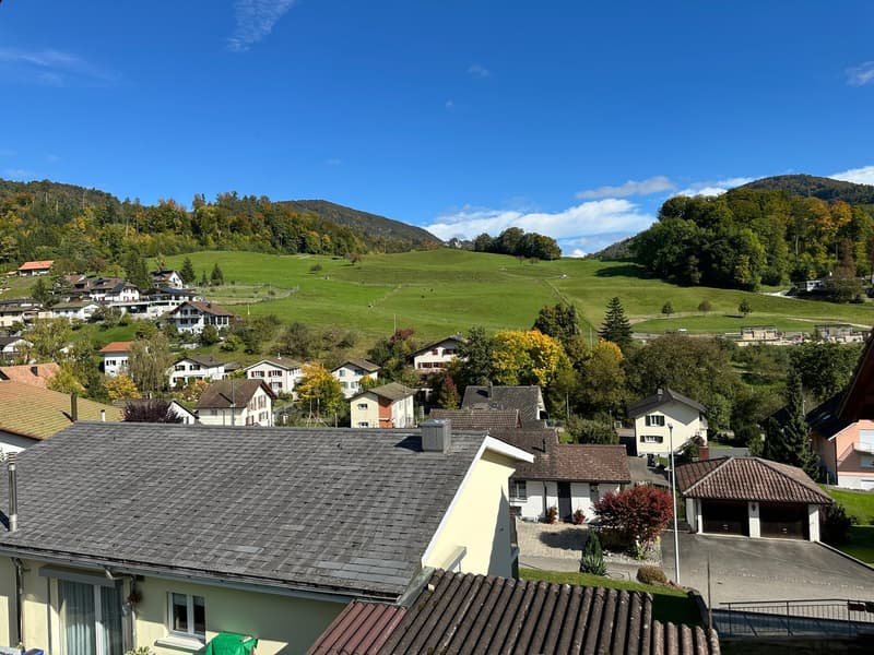 Moderne 5.5-Zimmer-Neubau-Einfamilienhaus mit Bergblick in Muemliswil (16)