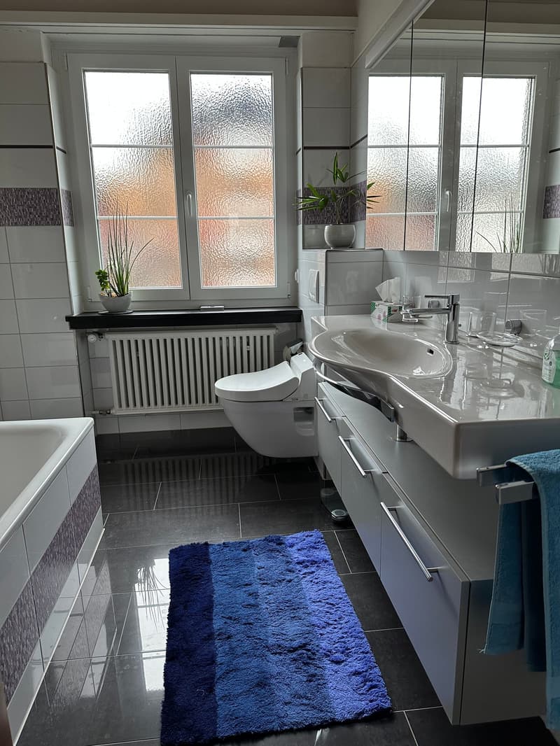 Grosszügige 4.5-Zimmer-Wohnung mit Balkon und Loggia in Schwyz (12)