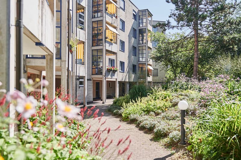 Helle Büroräumlichkeiten in Zürich-Albisrieden (1)
