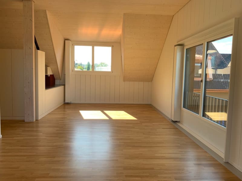 Attraktive 1.5-Zimmer-Dachwohnung mit Sicht auf den See (5)