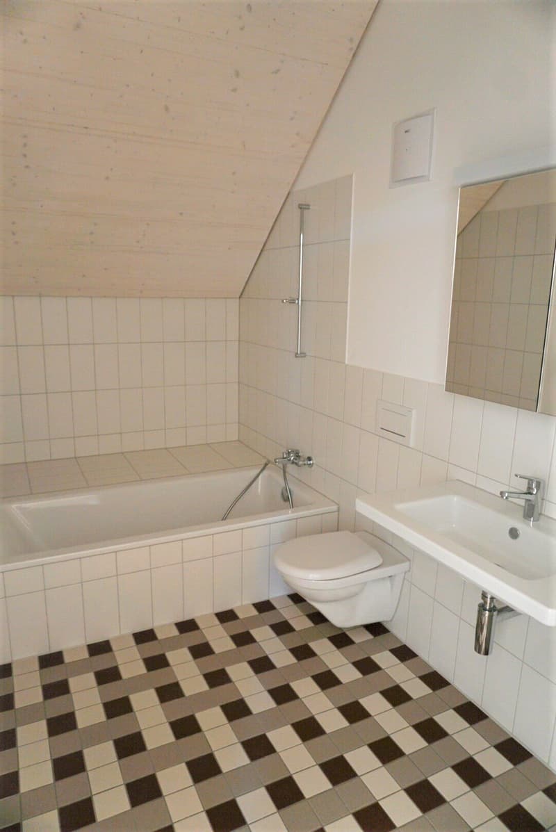 Attraktive 1.5-Zimmer-Dachwohnung mit Sicht auf den See (6)