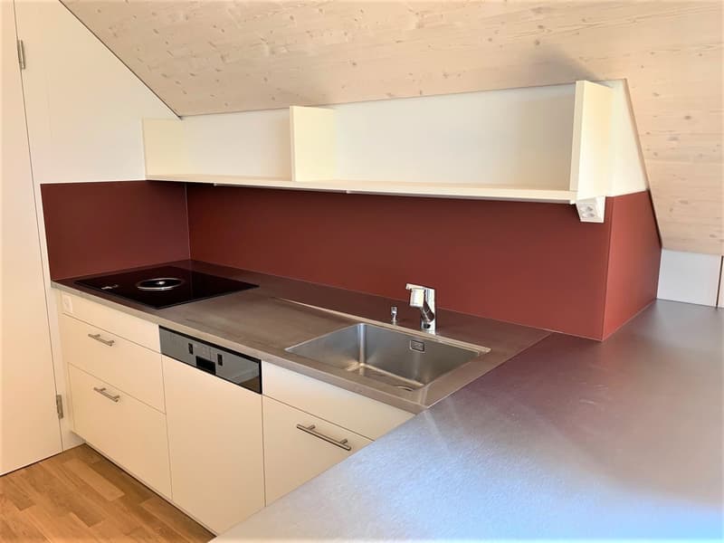 Attraktive 1.5-Zimmer-Dachwohnung mit Sicht auf den See (4)