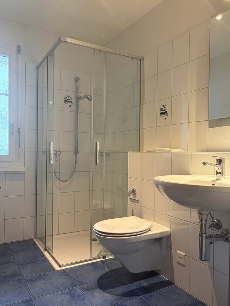Helle 3.5-Zimmer-Maisonette-Wohnung mit Balkon und Seesicht in Pfäffikon (5)