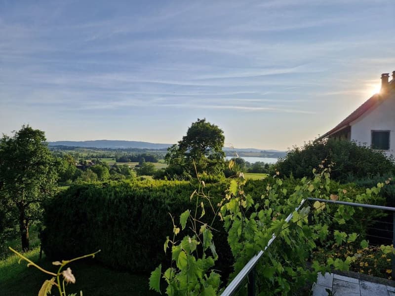 Helle 3.5-Zimmer-Maisonette-Wohnung mit Balkon und Seesicht in Pfäffikon (8)