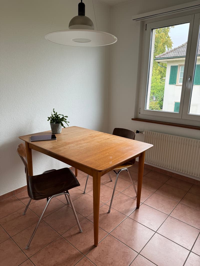 Grosszügige 8-Zimmer-Wohnung mit Balkon und wunderschöner Weitsicht (5)